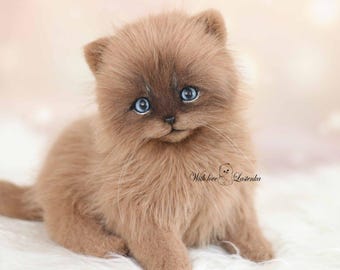 Realistic Kitten stuffed toy. Plush fluffy cat. OOAK Handmade Collectible Art Doll. Lifelike pet with blue eyes. Cute kitty.