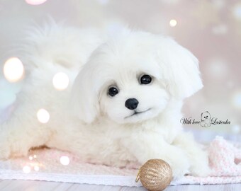 リアルなマルチーズの子犬のぬいぐるみ：ソフトスカルプチャー、ペット