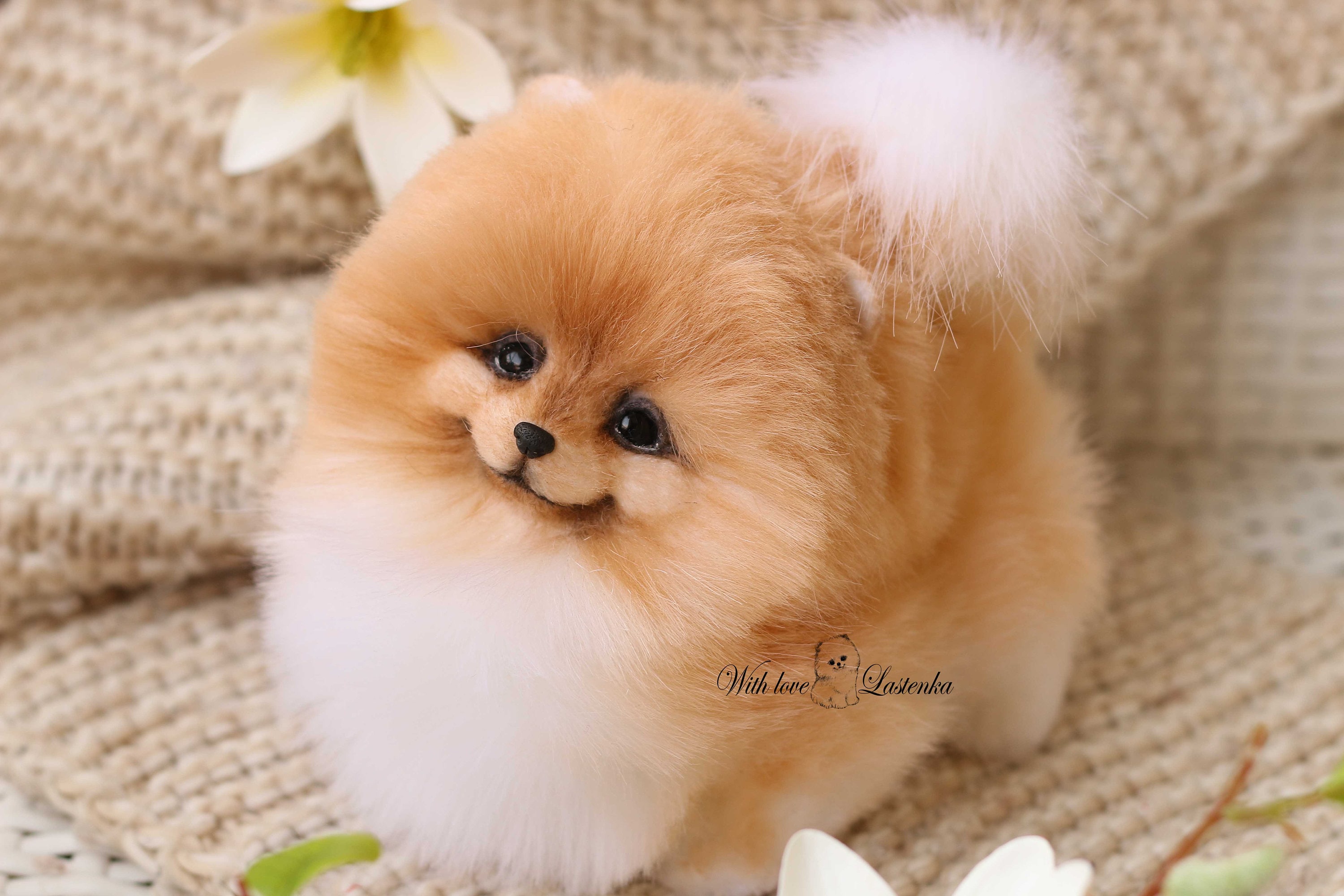 Stuffed Pomeranian Puppy Online Stuffed Pomeranian Puppy Online