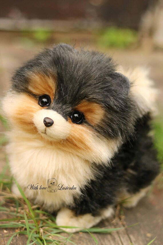 stuffed pomeranian puppy