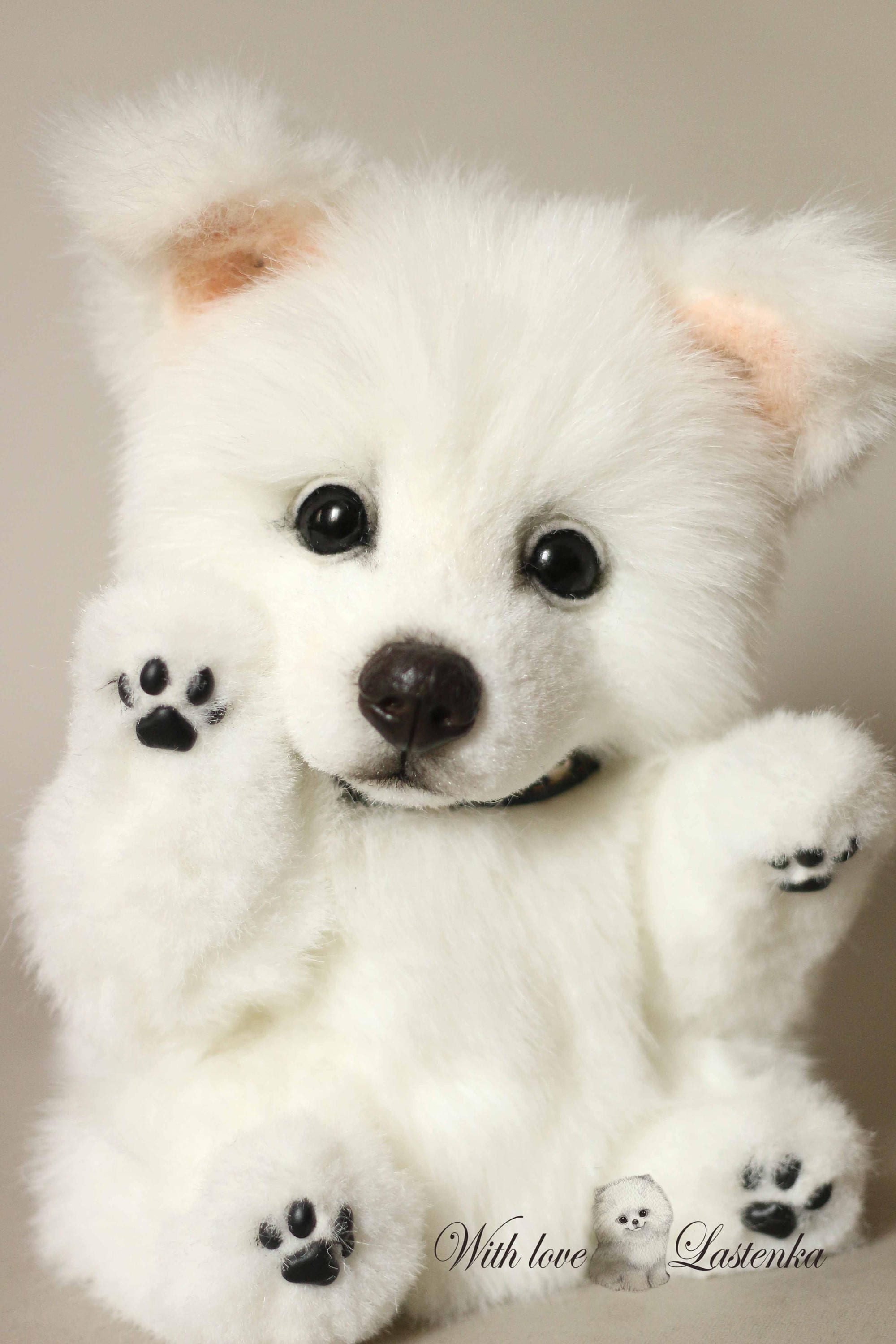 American Eskimo Dog Koda OOAK Artist Collectible Stuffed Puppy Etsy