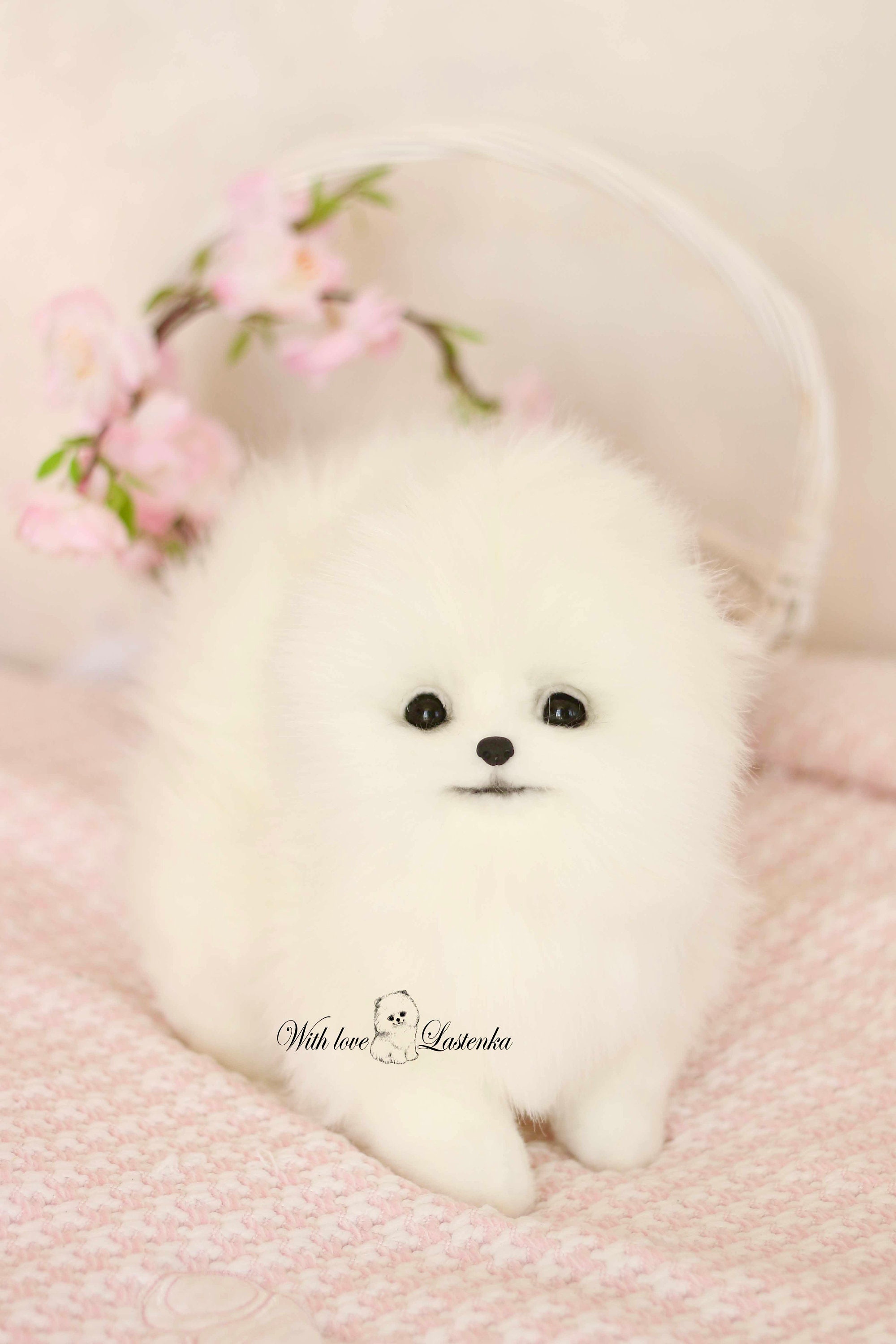 OOAK ポメラニアンぬいぐるみ：コレクター向けスピッツ子犬の