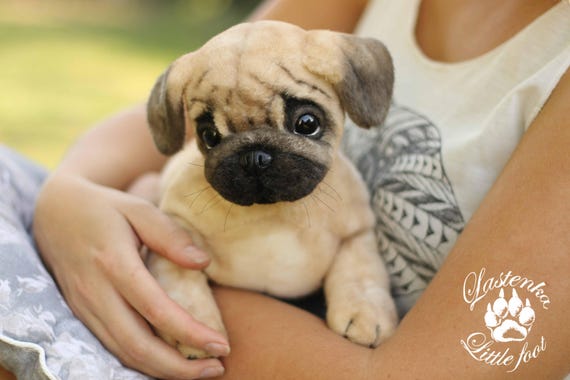 pug teddy card factory