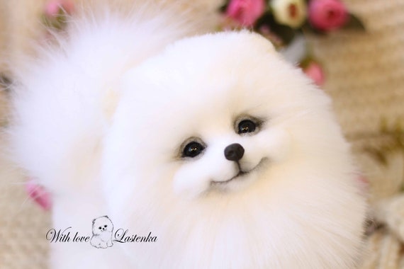 made to order Artist Stuffed dog collectible toy OOAK Spitz. Puppy Pomeranian Eva