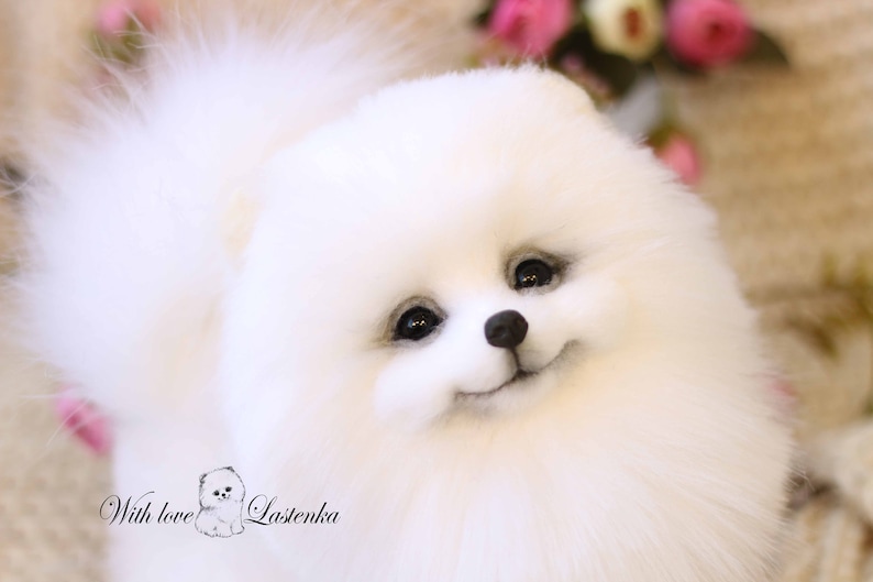 made to order Artist Stuffed dog collectible toy OOAK Spitz. Puppy Pomeranian Eva