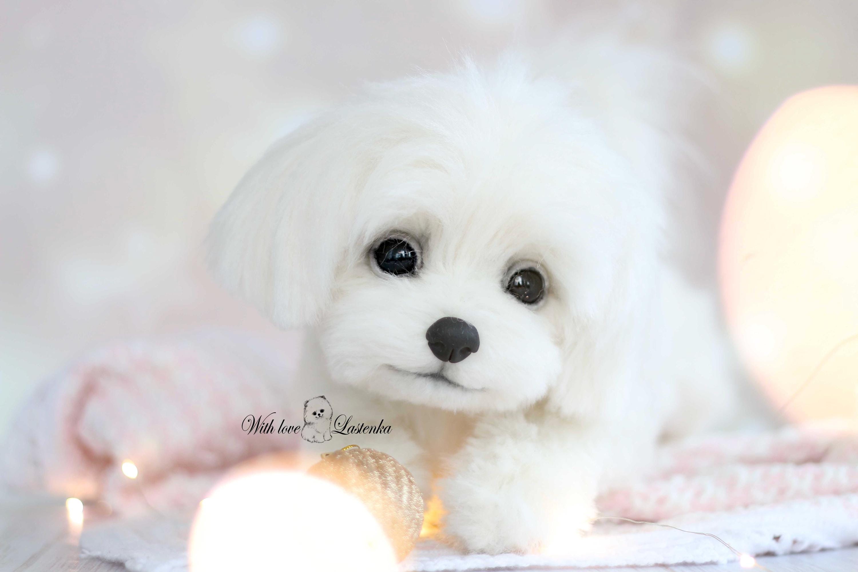 リアルなマルチーズの子犬のぬいぐるみ：ソフトスカルプチャー、ペット