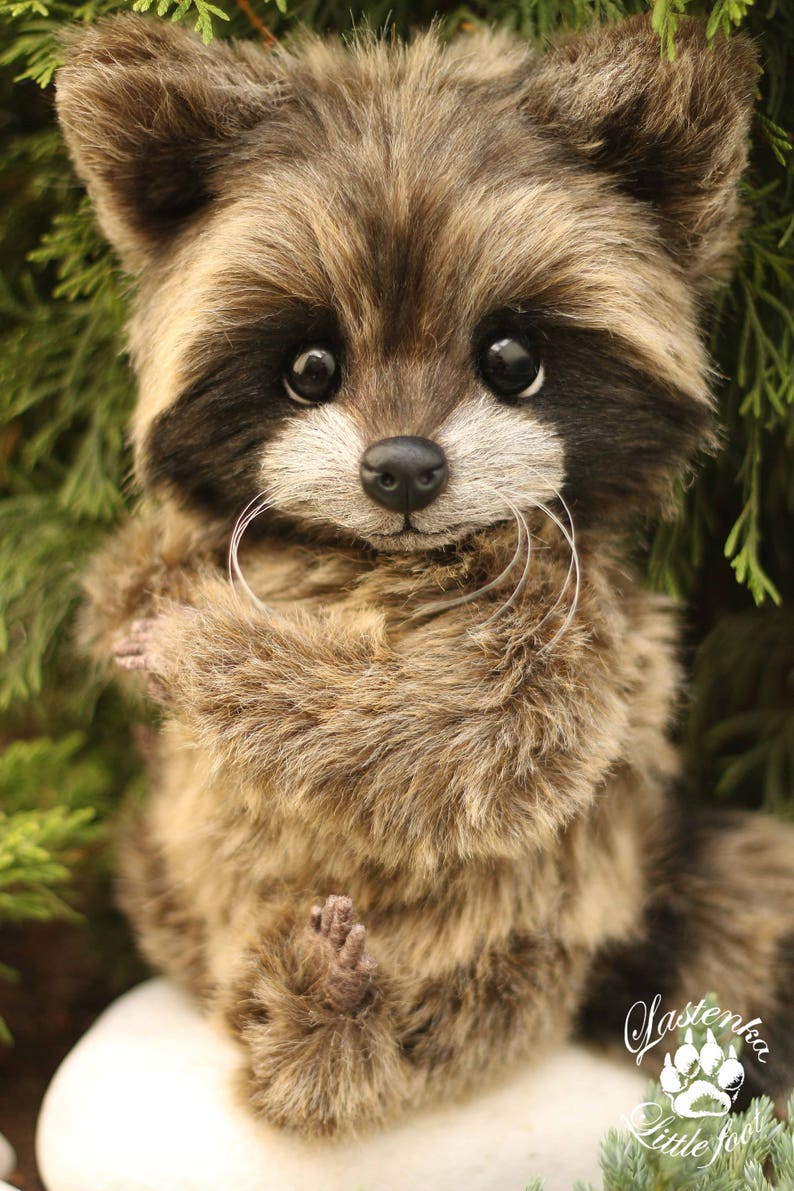 Raccoon Baby Stuffed realistic artist toy. Stuffed OOAK | Etsy