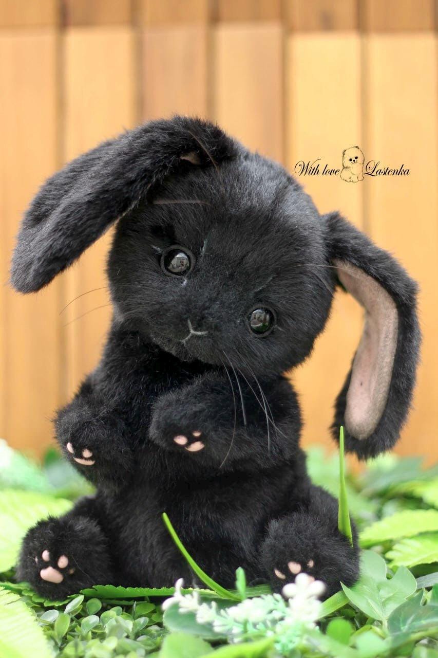 アーティストテディバニーぬいぐるみ：黒のコレクター向けぬいぐるみ