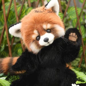 Puede incluir: Un peluche de panda rojo con cuerpo negro, cabeza marr&oacute;n rojizo y detalles blancos. El juguete est&aacute; sentado sobre follaje verde y tiene el texto "With love Lastenka" en la cabeza.