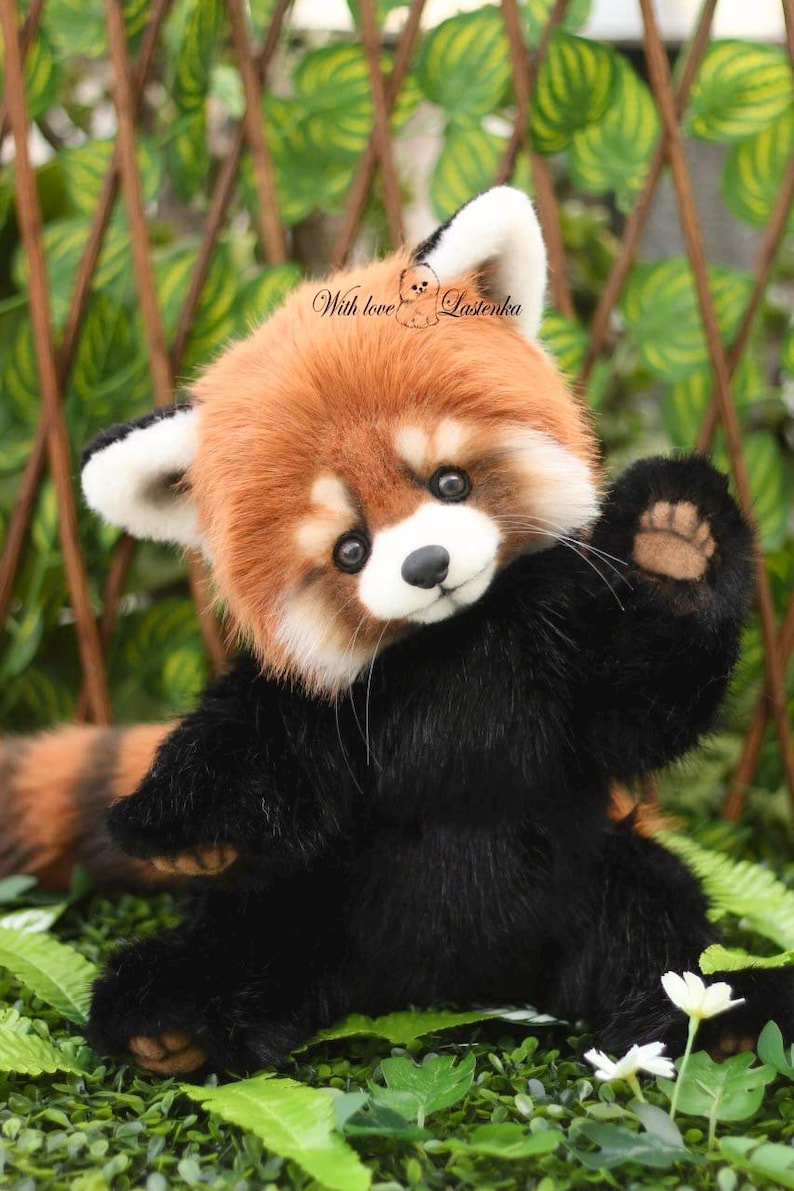 Puede incluir: Un peluche de panda rojo con cuerpo negro, cabeza marr&oacute;n rojizo y detalles blancos. El juguete est&aacute; sentado sobre follaje verde y tiene el texto "With love Lastenka" en la cabeza.