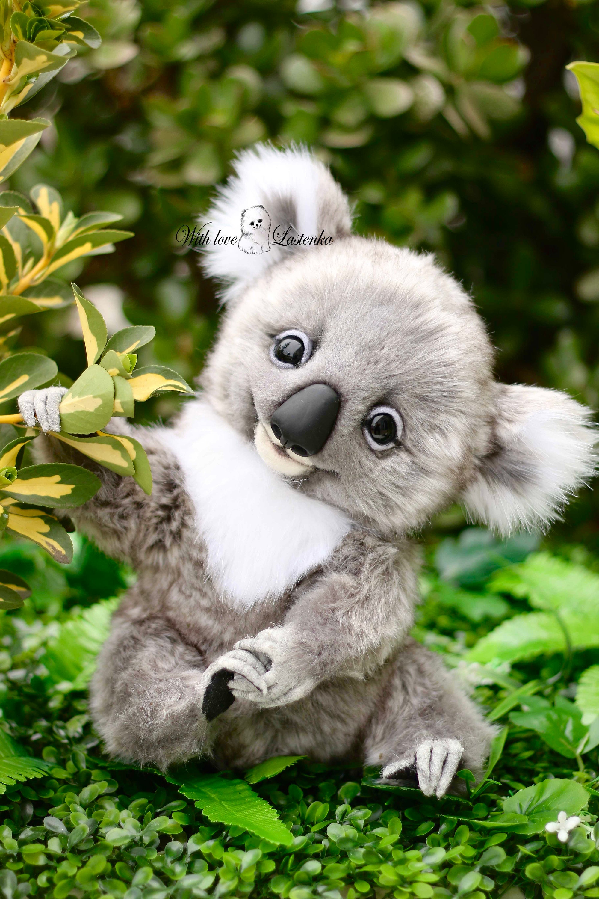 リアルなテディ コアラ エクリプス OOAK コレクター向けアーティスト