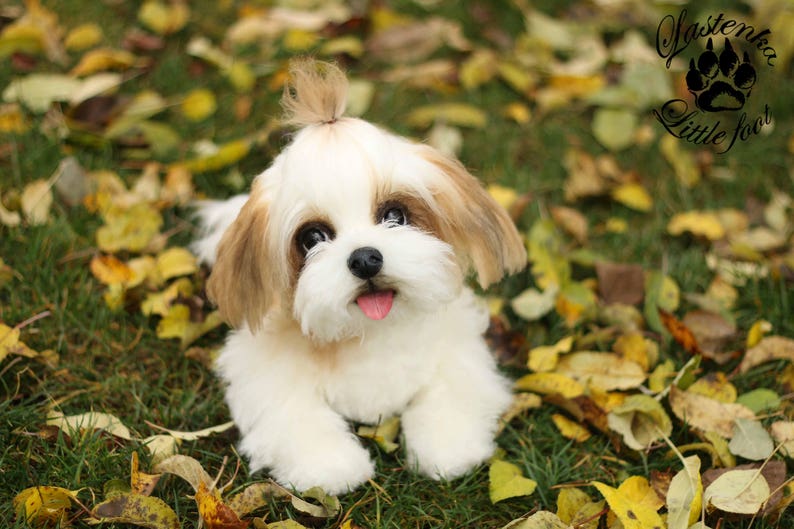 Realistische Welpen Shih Tzu Boss Hund OOAK Sammler Teddy Hund Etsy