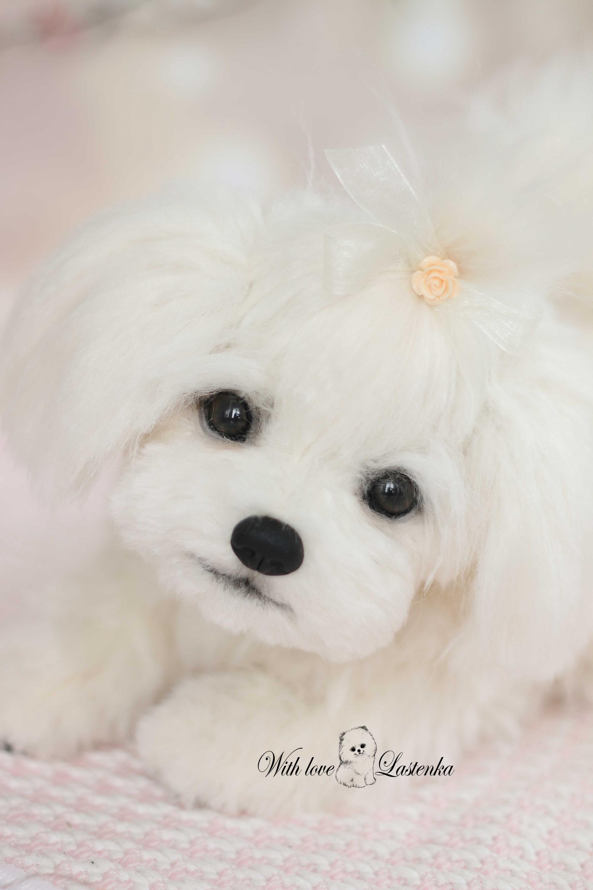 リアルなマルチーズの子犬のぬいぐるみ：ソフトスカルプチャーペット