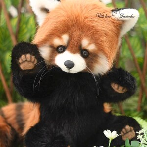 Puede incluir: Un peluche de panda rojo con cuerpo negro, cara marr&oacute;n y blanca, y patas extendidas. El peluche tiene una expresi&oacute;n amigable y est&aacute; sentado en un entorno natural con vegetaci&oacute;n y peque&ntilde;as flores blancas. El texto en la oreja dice "With love Lastenka".