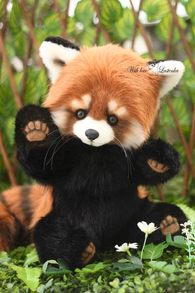 Puede incluir: Un peluche de panda rojo con cuerpo negro, cara marr&oacute;n y blanca, y patas extendidas. El peluche tiene una expresi&oacute;n amigable y est&aacute; sentado en un entorno natural con vegetaci&oacute;n y peque&ntilde;as flores blancas. El texto en la oreja dice "With love Lastenka".