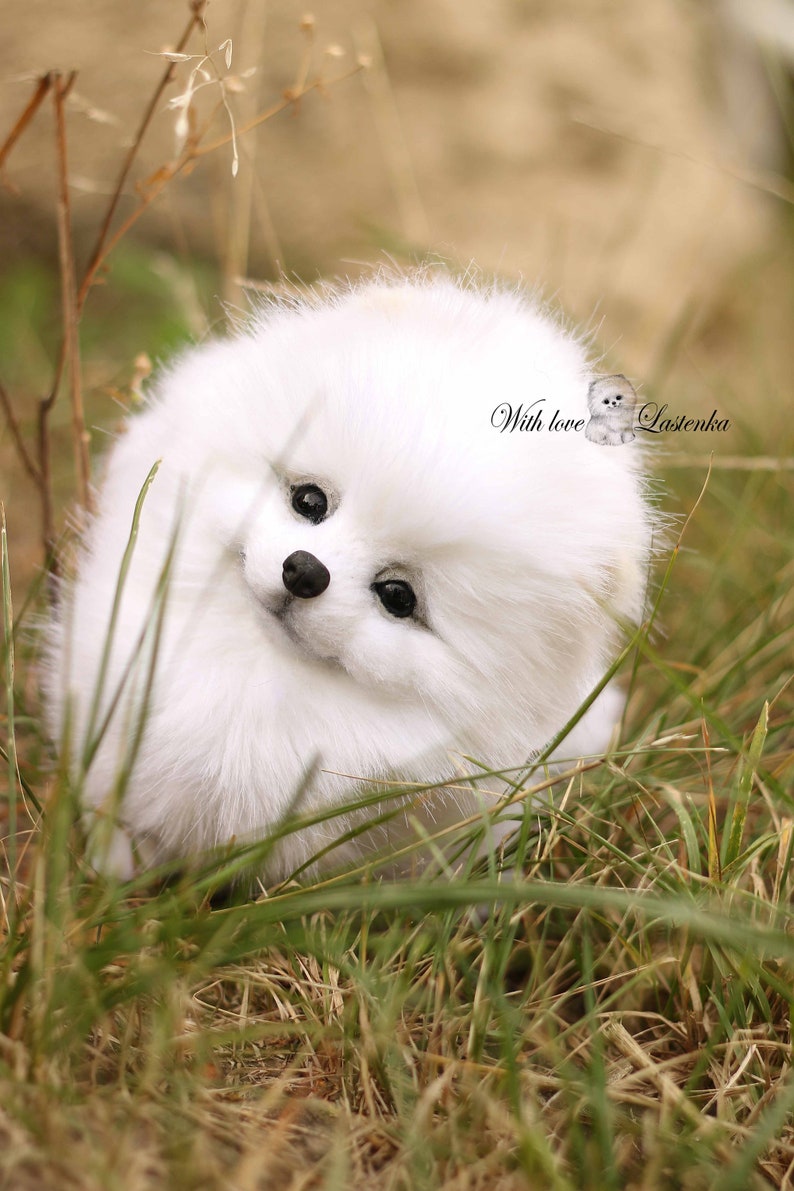 made to order Artist Stuffed dog collectible toy OOAK Spitz. Puppy Pomeranian Eva