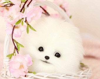 OOAK ポメラニアンぬいぐるみ：コレクター向けスピッツ子犬の