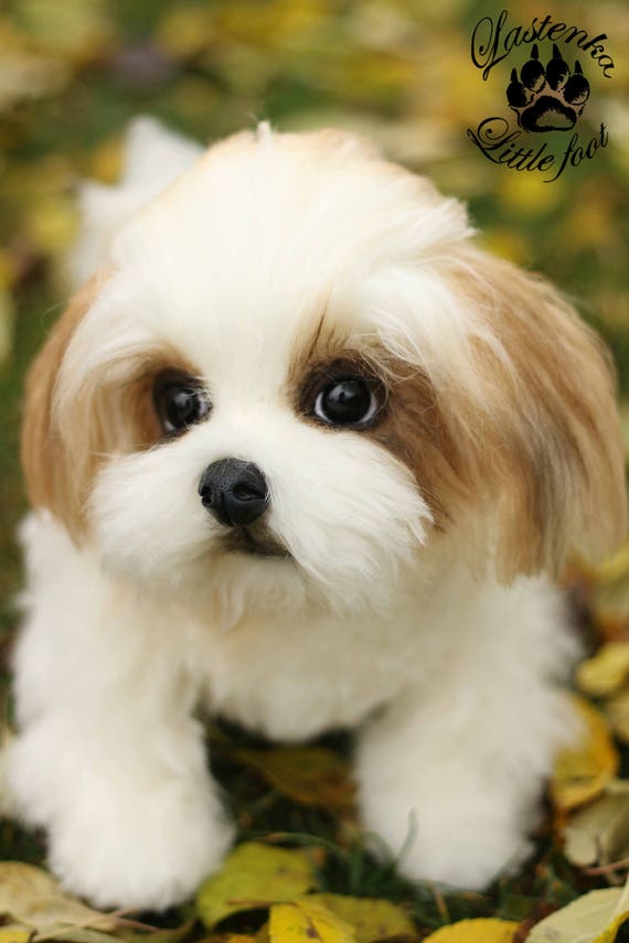 Shih Tzu Dog Toys - Super Shop