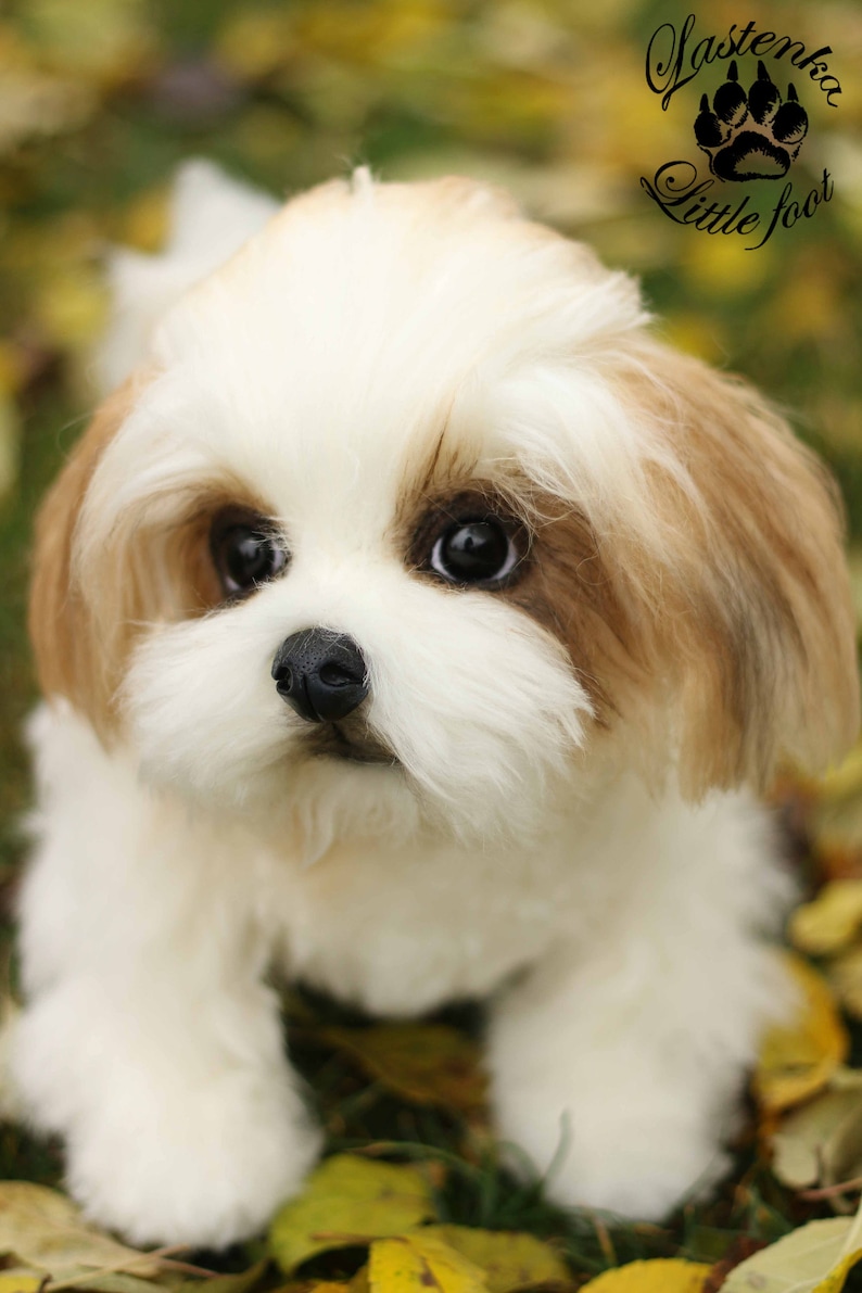 Realistische Welpen Shih Tzu Boss Hund OOAK Sammler Teddy Hund Etsy