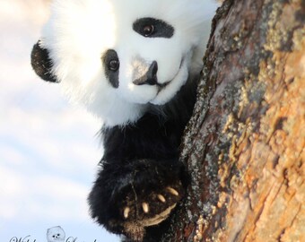 手作りパンダのぬいぐるみ：リアルなコレクター向けテディベア - Etsy 日本