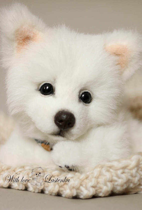 american eskimo stuffed animal