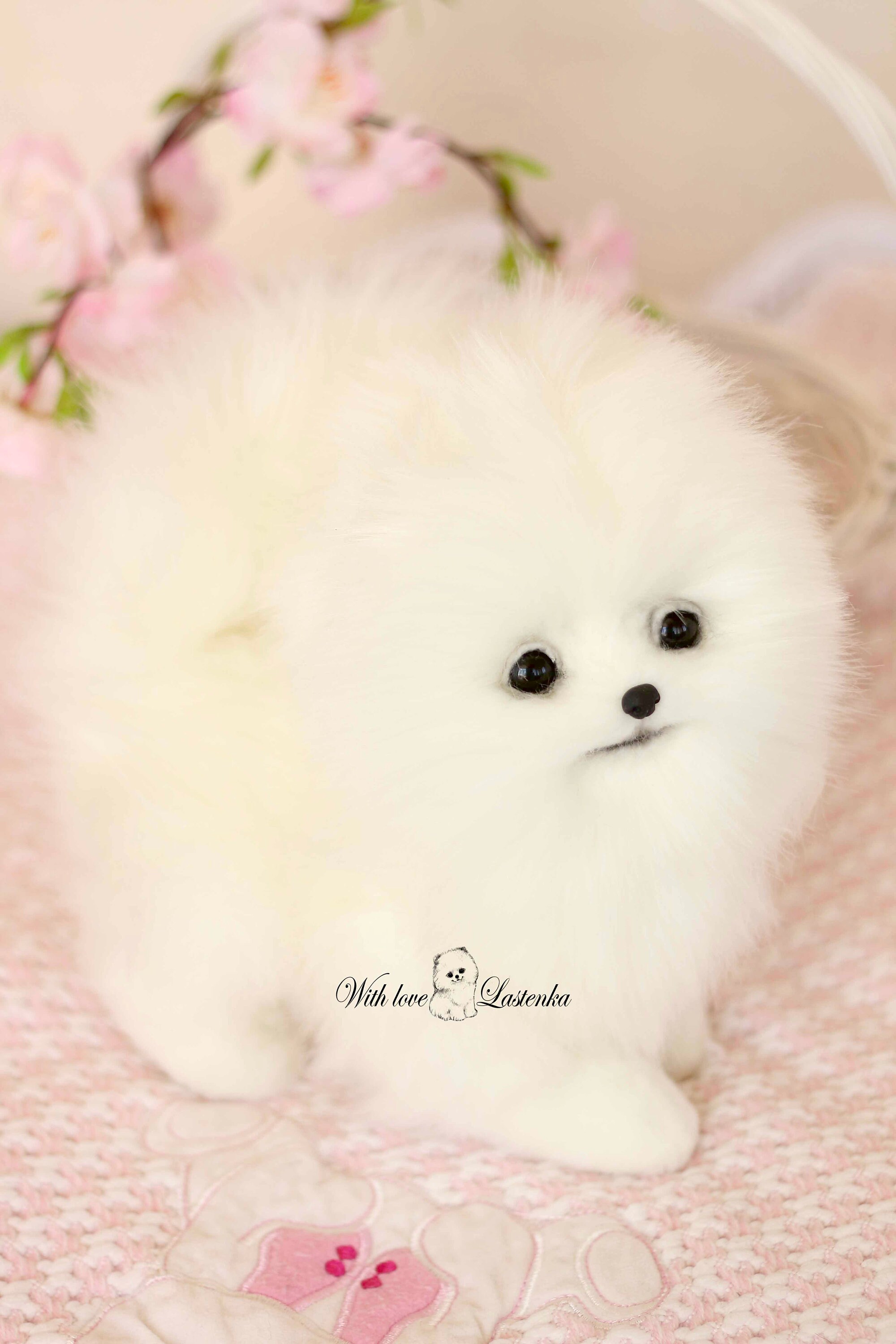 OOAK ポメラニアンぬいぐるみ：コレクター向けスピッツ子犬の