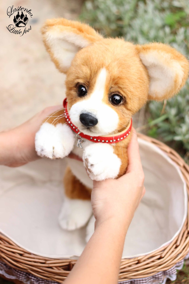Realistic puppy Welsh Corgi Pembroke Kelly OOAK handmade plush | Etsy