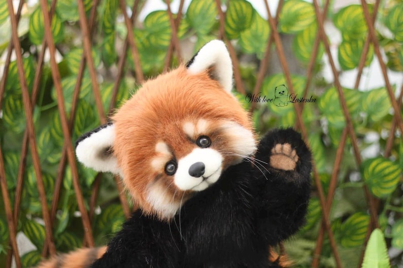 Puede incluir: Un peluche de panda rojo con una cabeza marr&oacute;n rojiza y esponjosa, orejas blancas y un cuerpo negro. El panda rojo est&aacute; saludando con su pata. El fondo presenta un enrejado verde y marr&oacute;n.