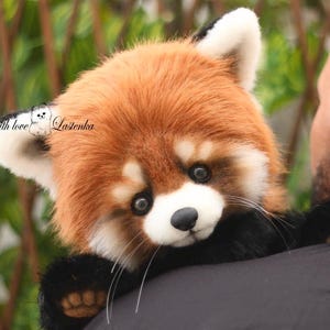 Puede incluir: Un peluche de panda rojo con cara, orejas y pecho blancos, y patas y piernas negras. El peluche est&aacute; siendo sostenido sobre el hombro de una persona. El texto "With love Lastenka" es visible en el lado izquierdo de la imagen.