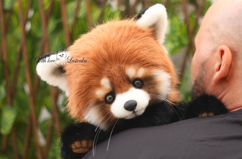 Puede incluir: Un peluche de panda rojo con cara, orejas y pecho blancos, y patas y piernas negras. El peluche est&aacute; siendo sostenido sobre el hombro de una persona. El texto "With love Lastenka" es visible en el lado izquierdo de la imagen.