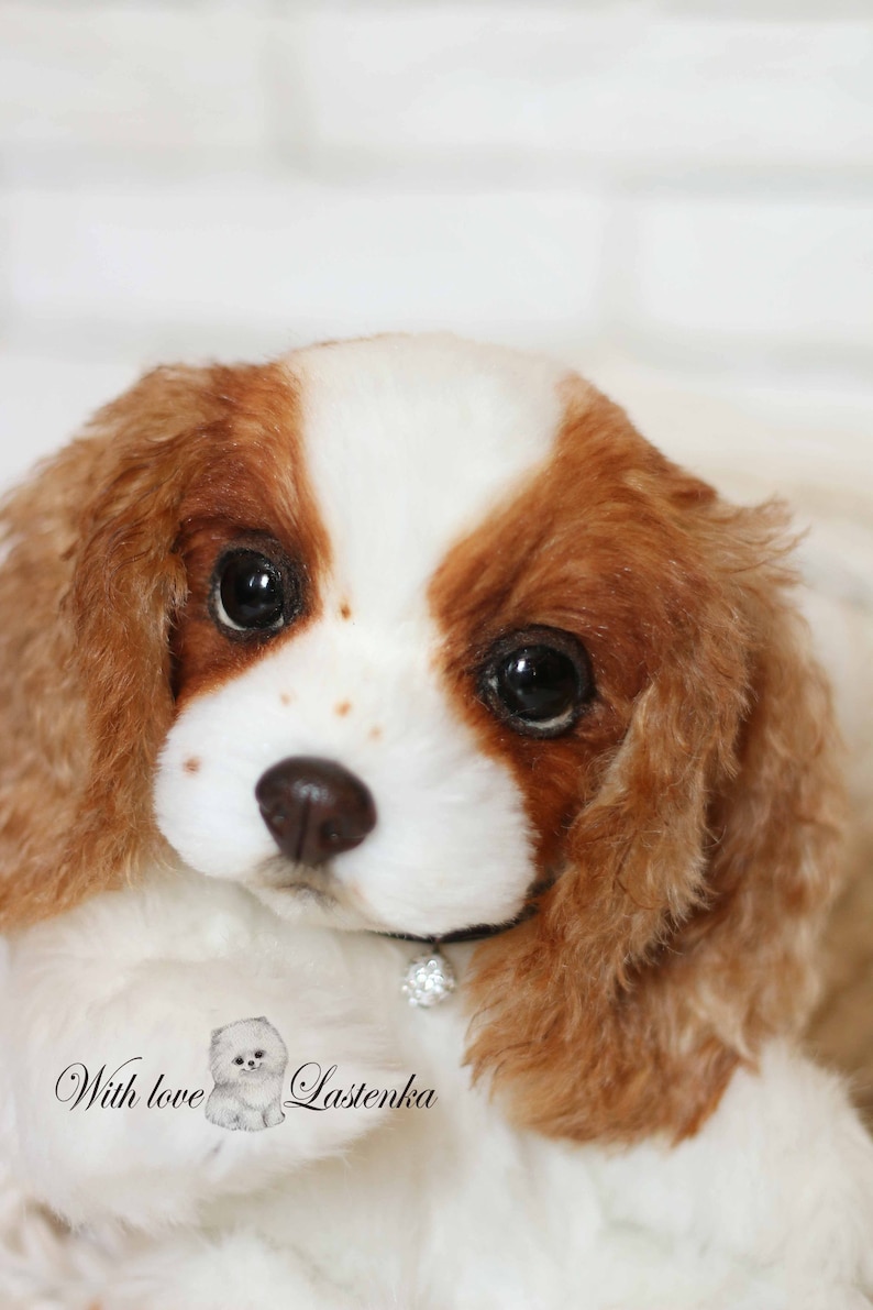 Portrait Teddy Puppy Cavalier King Charles Spaniel Dog OOAK Etsy Portrait Teddy Puppy Cavalier King Charles Spaniel Dog OOAK Etsy