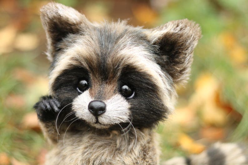 Einzigartiger Waschbär-Teddybär, realistische handgefertigte Plüschpuppe Bild 6