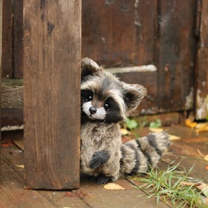 K&ouml;nnte beinhalten: Ein Pl&uuml;sch-Waschb&auml;r mit einem schwarz-grau gestreiften Schwanz und Fell, der hinter einem Holzzaun hervorlugt. Der Waschb&auml;r hat eine wei&szlig;e Schnauze und gro&szlig;e, dunkle Augen. Der Hintergrund umfasst eine Holzt&uuml;r und Herbstbl&auml;tter.