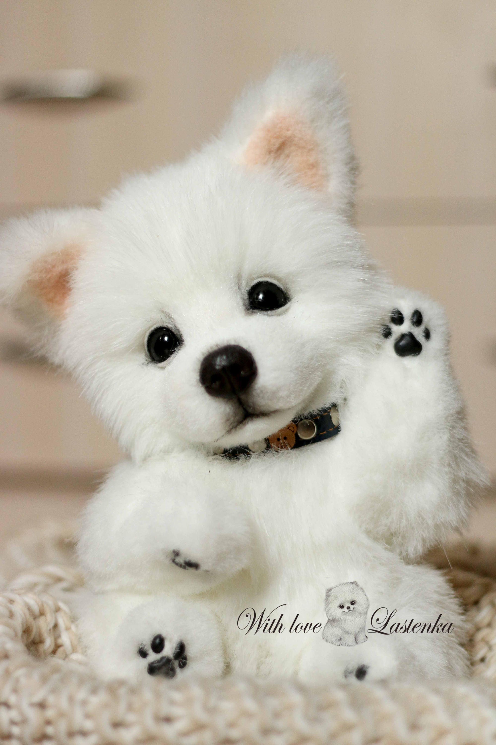 American Eskimo Dog Koda OOAK Artist Collectible Stuffed Puppy Etsy