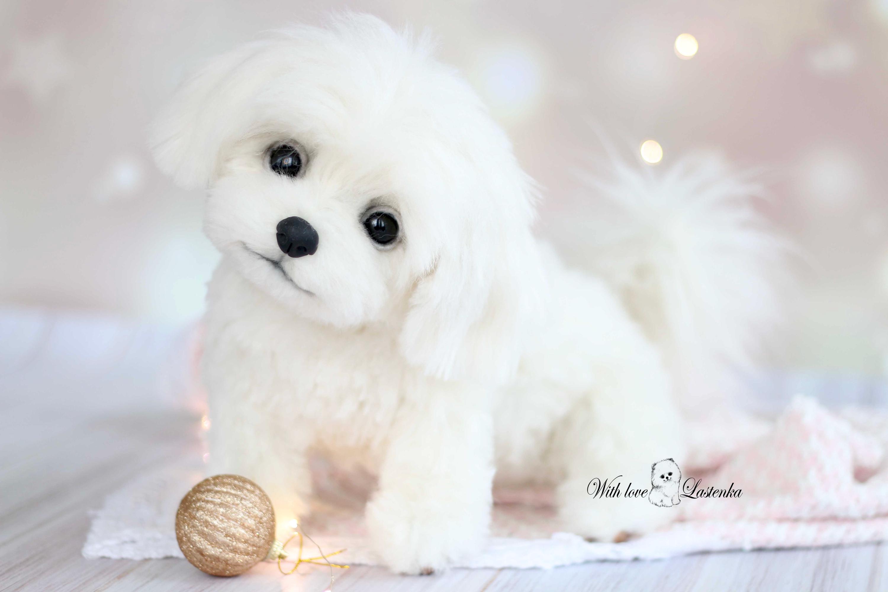 リアルなマルチーズの子犬のぬいぐるみ：ソフトスカルプチャー、ペット