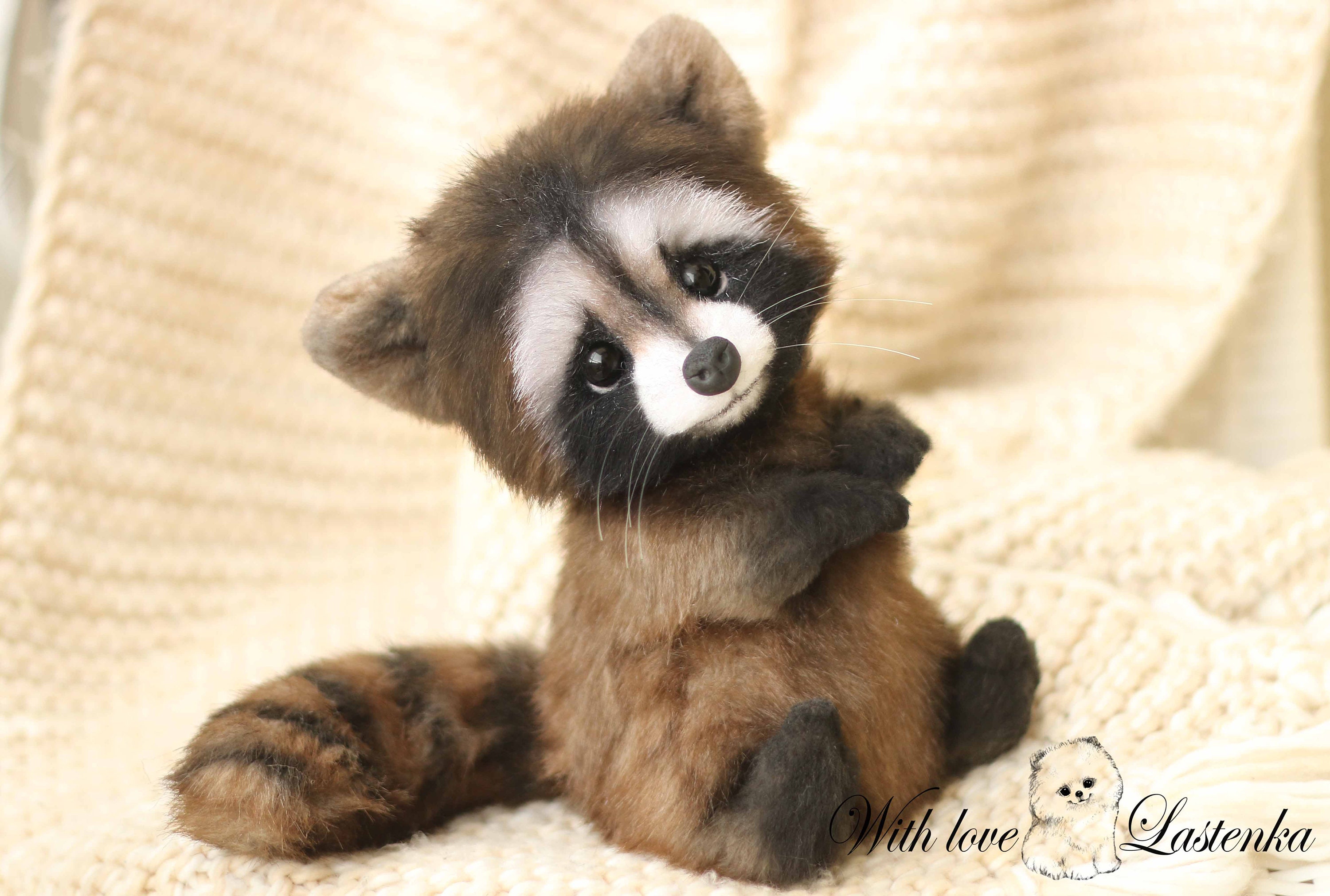 teddy bear raccoon