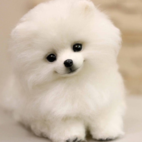 ポメラニアン スピッツ 子犬 キャンディー リアル ぬいぐるみ 犬 ポメラニアン スピッツ 子犬 キャンディー リアル ぬいぐるみ 犬