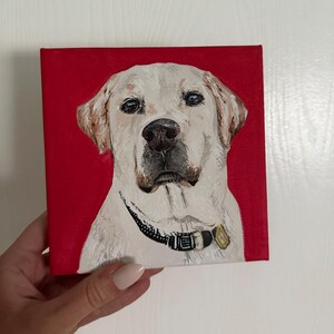 Custom Hand Painted Pet Portraits