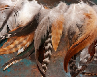 BULK 50pcs Natural Tan Bronze Rooster Coque Feathers 12-20cm DIY Craft Millinery