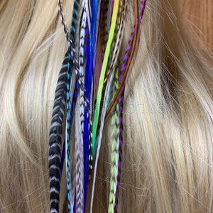 Long Feathers for Hair Extensions Rainbow Natural Mix of 20 Premium Quality XXL Hair Feathers Blues Purples Pinks Grizzly Solid 14to17inches