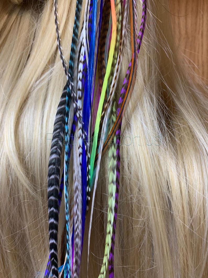 Long Feathers for Hair Extensions Rainbow Natural Mix of 20 Premium Quality XXL Hair Feathers Blues Purples Pinks Grizzly Solid 14to17inches