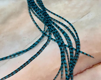 Feather Hair Extensions Grizzly Turquoise Long Hair Feathers DIY Kit with Beads 10