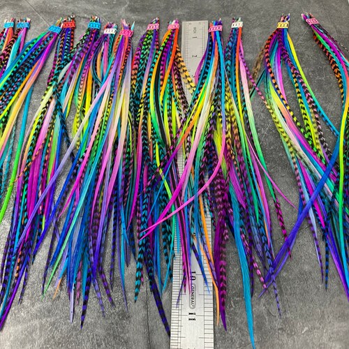 Hair Feathers Rainbow Hair Accessories Hair | Etsy