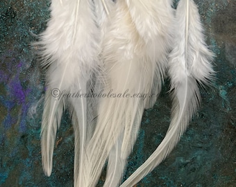 Puede incluir: Un grupo de plumas blancas con una textura suave y esponjosa. Las plumas están dispuestas en forma de abanico y tienen una apariencia natural y elegante.