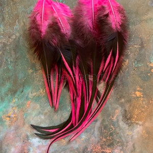 May include: A bunch of pink and black feathers with long, flowing plumes. The feathers are arranged in a heart shape.