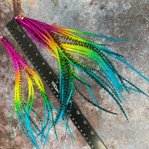 May include: Two long, colorful feathers with black accents. The feathers are ombre dyed in shades of pink, yellow, green, and blue. The feathers are approximately 12 inches long.