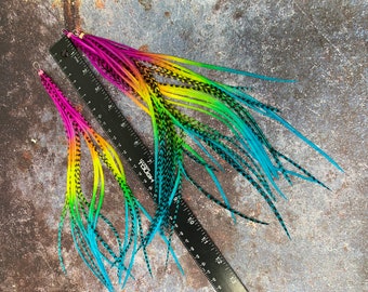 May include: Two long, colorful feathers with black accents. The feathers are ombre dyed in shades of pink, yellow, green, and blue. The feathers are approximately 12 inches long.