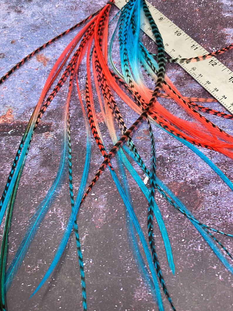 Poppy Red Turquoise Feather Hair Extensions Salon Feathers for Etsy