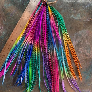 Bulk Hair Feathers Long Feather Hair Extensions Rainbow Wholesale Salon Feather Extensions Colored Rooster Feathers Florida OOAK 100pcs