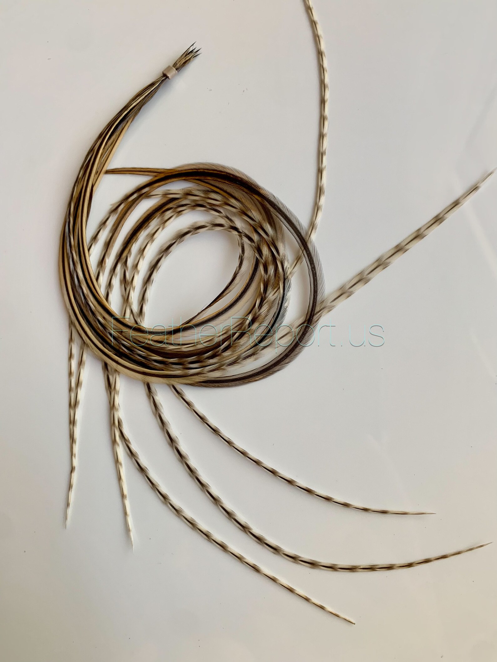 Light Natural Feather Hair Accessories DIY Kit Real Feather Etsy